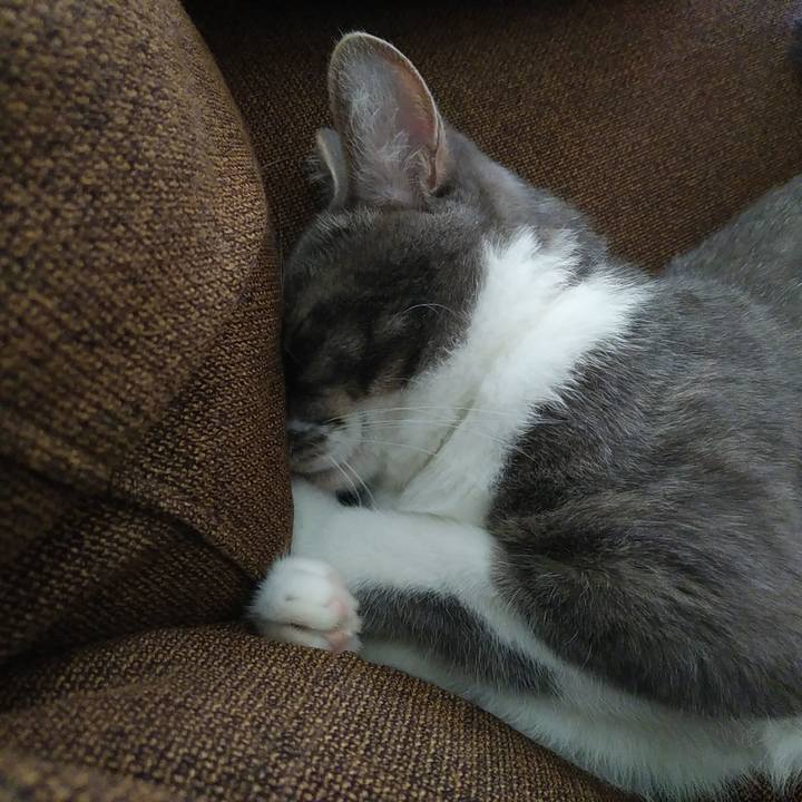 66f9ccf5 a1be 4d84 b8de 80417f6ecf5c 1590464293738