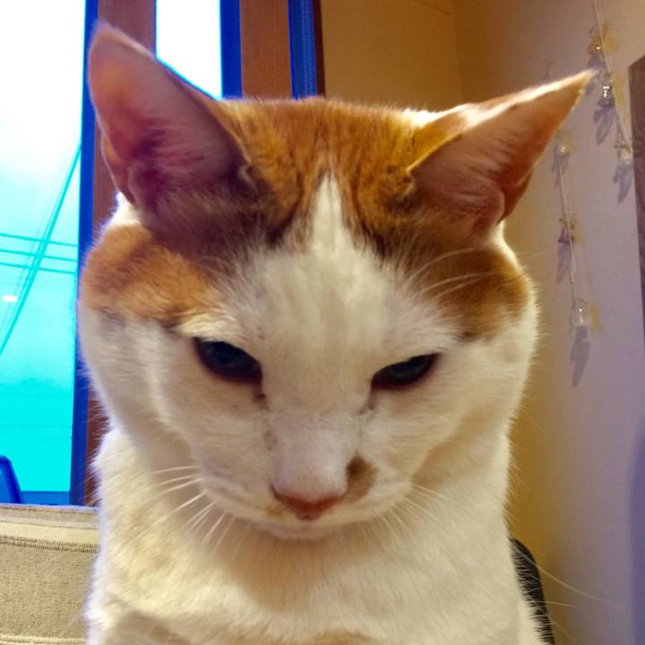 66f9d6f7 853b 4aa0 a331 5b15e59a9190 1521691165915