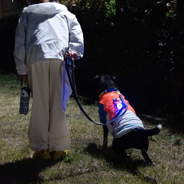 66f9e7ef a9e8 42ac a6c5 4d42af339bfa 1744024059597