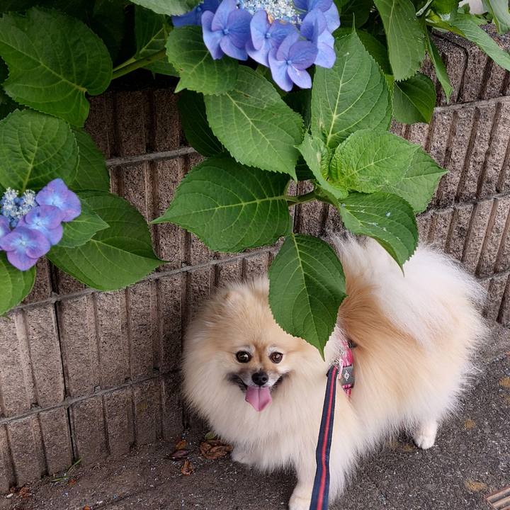 66f9fbb5 97af 4892 9c73 e8f9bd468dba 1751350500623