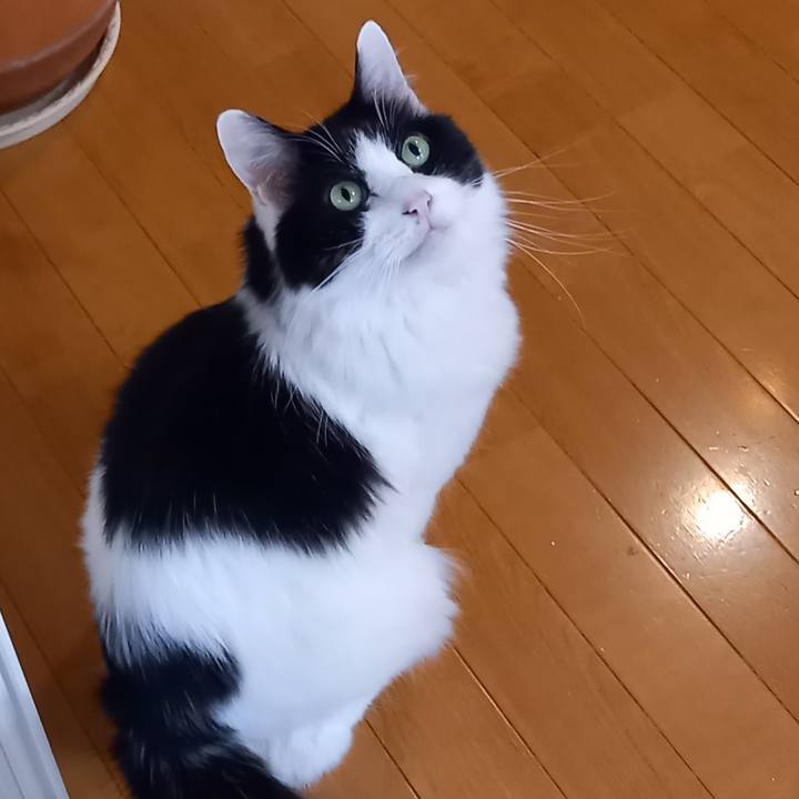 66fa5a1c f5dc 4889 bde4 3342f26b4b07 1672186826787