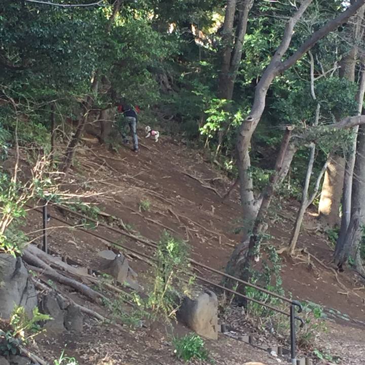 66fa6a3d ce6f 42b0 8d03 3f663c1aa107 1521284515113