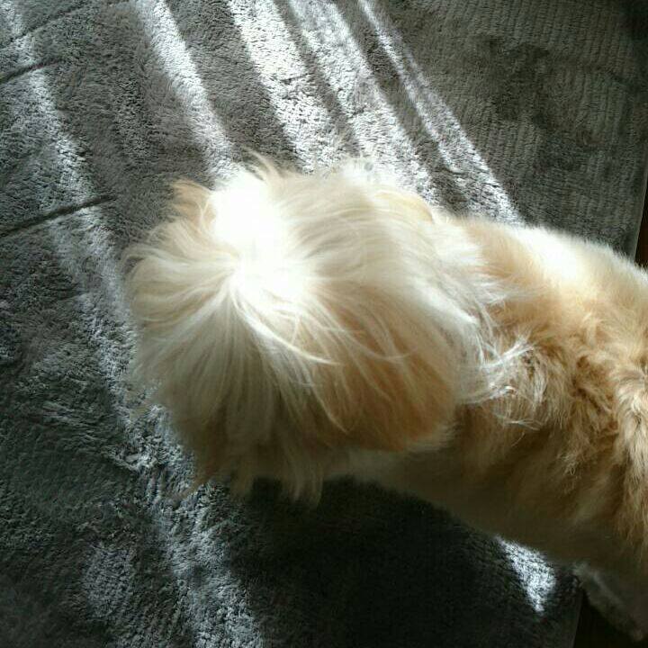 66fa84a4 72de 482d b56a e1e53fb6b680 1545972059177