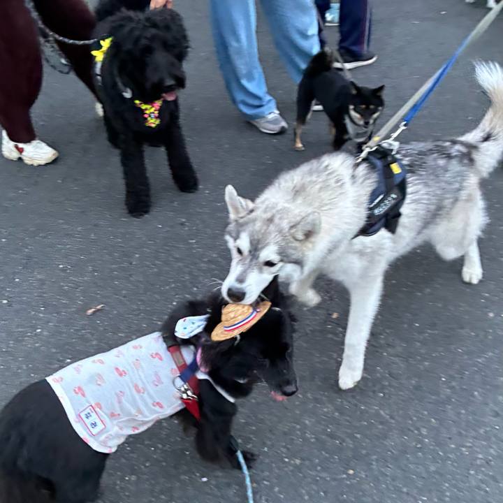 66fac5b0 34fe 4034 89fe bdebaebf6588 1757253654169