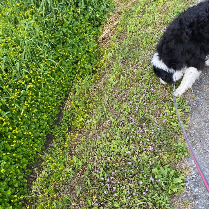 66faca10 4015 4003 9602 119667c1397d 1649725764625