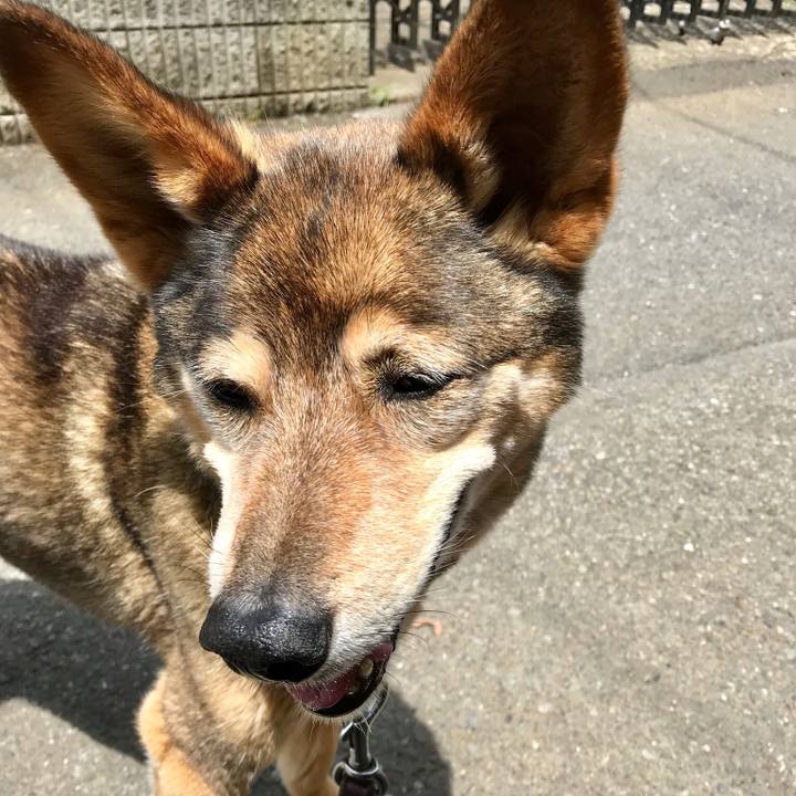 66fad48a 40ba 4f83 93c2 0ab128965ea1 1526008240154