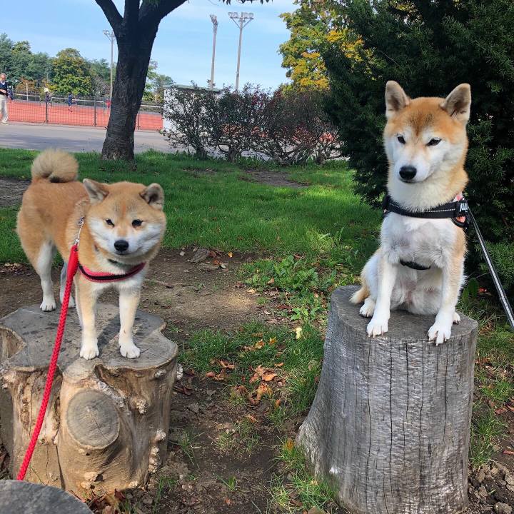 66fad89c 9ecf 48f9 995c 3d4b0ec0b077 1571027061687