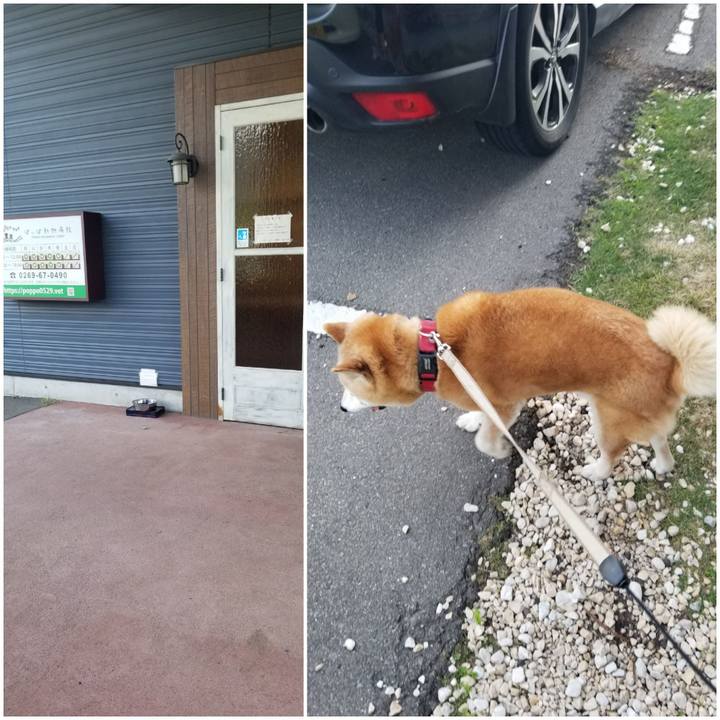 66fb00f0 7ddf 46e5 9b38 a86c2ce538d3 1747640620289