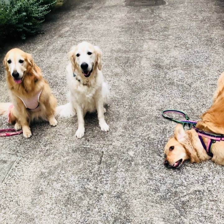 66fb0496 74ac 406c 9170 e0bf3b8a8559 1523099871886