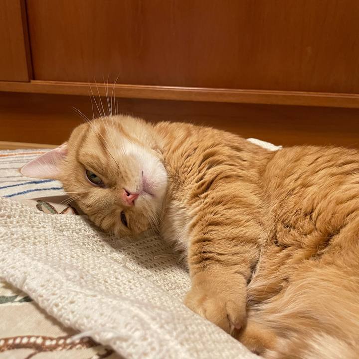 66fb5a5a e6ce 4c65 be86 1c2c103a27e1 1767015458351