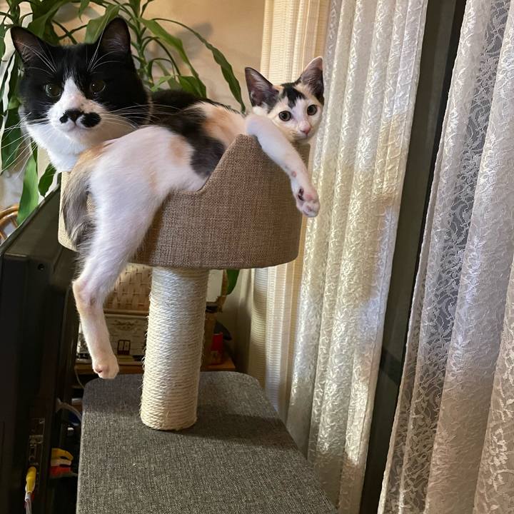 66fb6381 7843 4860 b346 cd7dec971b85 1658728682353