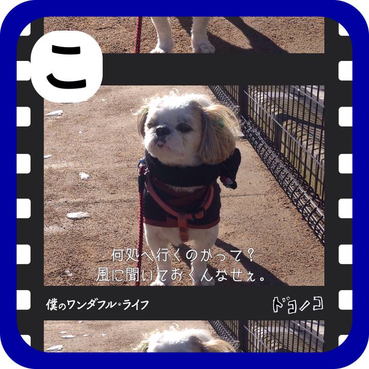 66fb72ca 6c11 46e1 83f8 49c0e2cf23fb 1515189887409