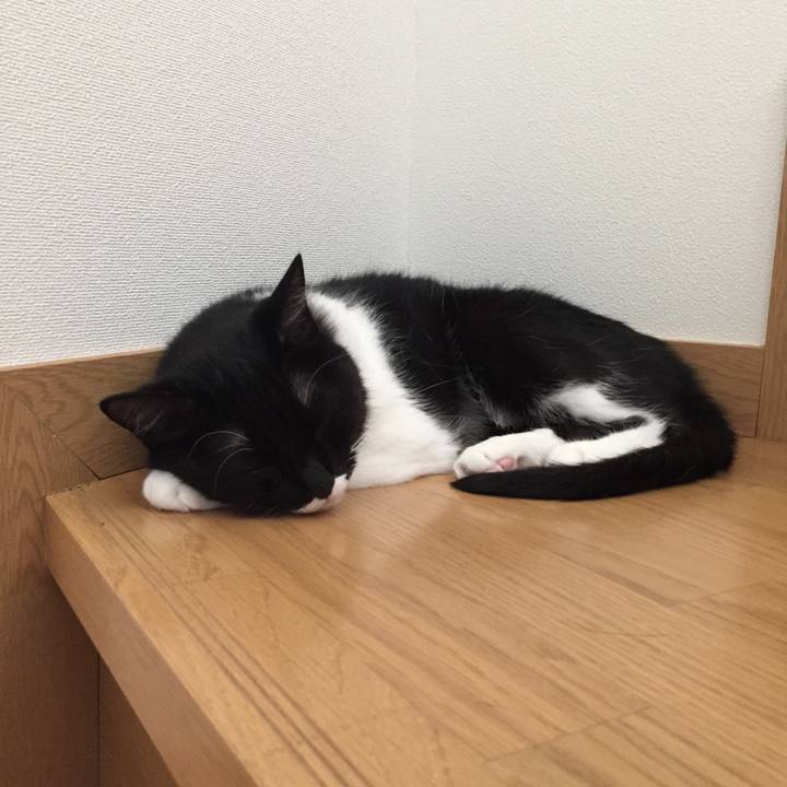 66fb9aa3 22fa 47de 8901 3e43e098cbf2 1531270505869