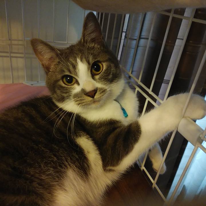 66fba9b2 2439 486d bd5c 4455fe94e519 1579303511419