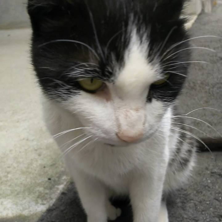 66fbc515 653e 4655 9250 55fe45ed908e 1556258585511