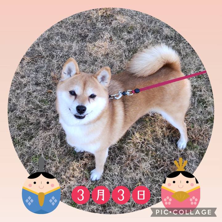 66fbcb94 72f1 45b1 95a4 80560ac47cbc 1740991672472