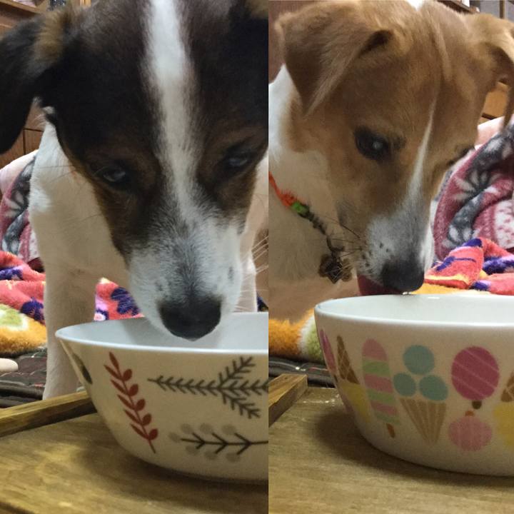 66fbe985 e469 49df b7b3 60a2b62867dc 1549960371619