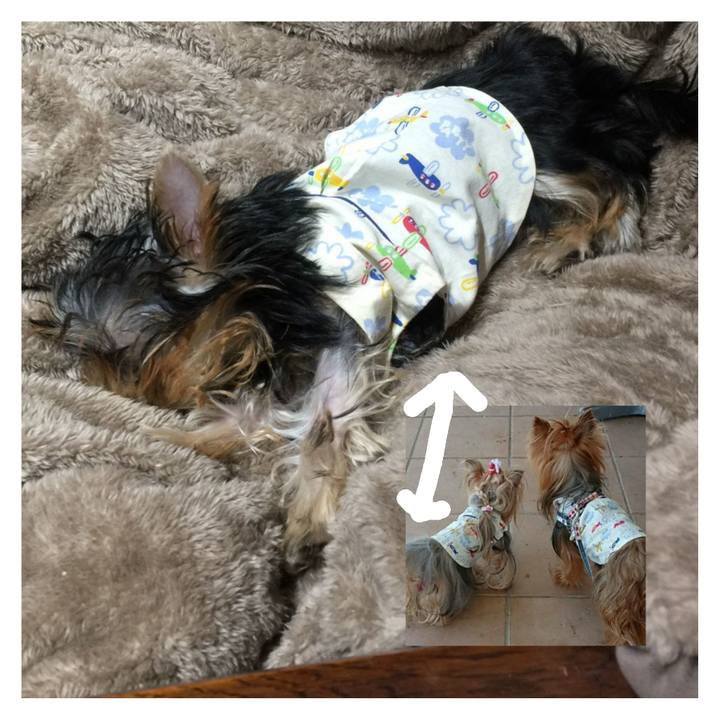 66fc0c05 e79e 4bd4 b2dd de6a7de51237 1589181269567