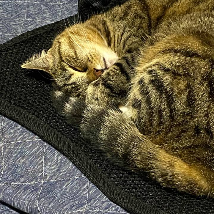 66fc3786 a13d 45bf b977 63f7ee55d2fc 1621529274572