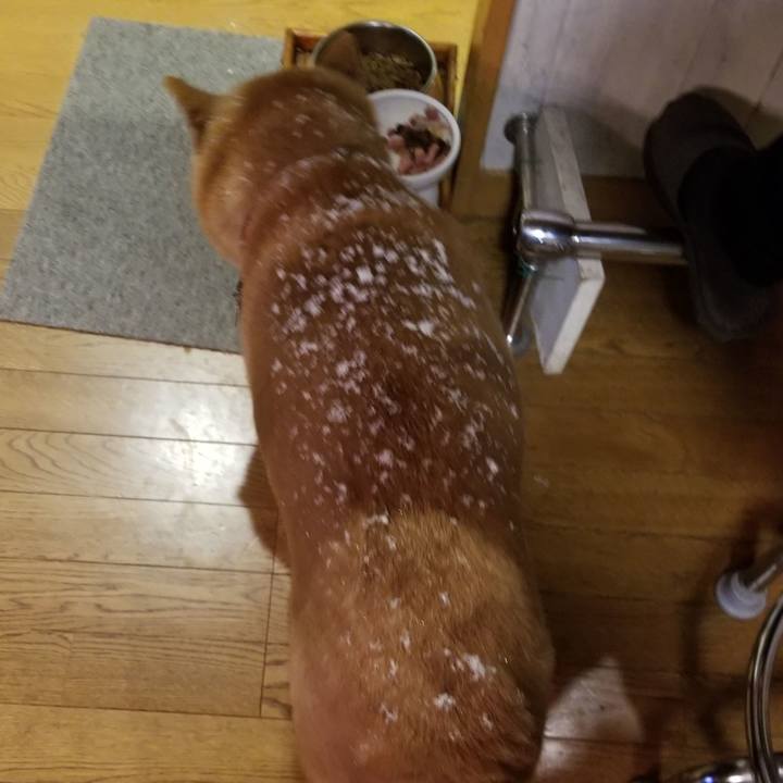 66fc3aca c260 4677 a3d9 855660ace3ab 1739783165730