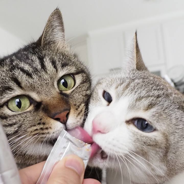 66fc48fa ef20 4904 a0f9 c1c3da2ef722 1615709730303