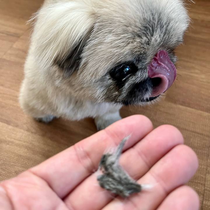 66fc4bf4 bc30 4472 9803 0cef97d675c2 1765931013258