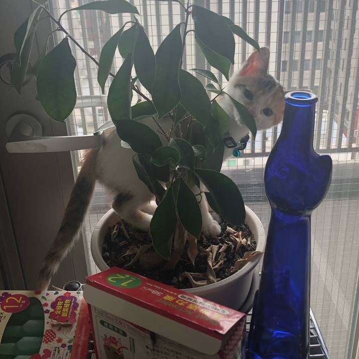 66fc7e6b 06ad 4bbe 886a 4979b7f62183 1562801317650