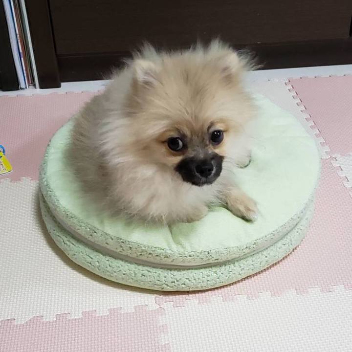 66fc8be5 8f37 4a06 950a e6c8b97139f3 1616020701977