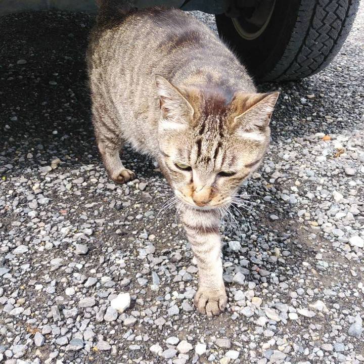 66fc99c9 0555 40f8 bd3b 56c5998ec27c 1622161887511