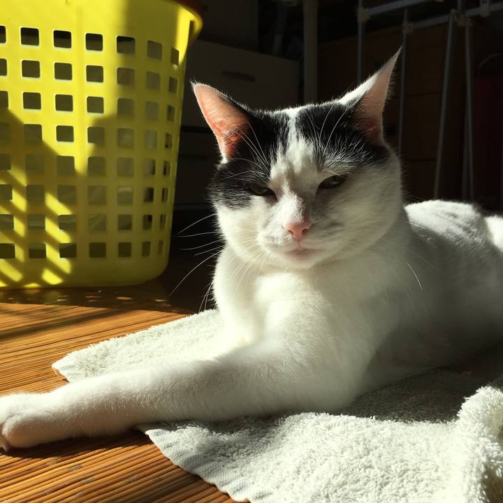 66fca6c3 ea97 4531 be8d f46d4bea8d94 1508980134206