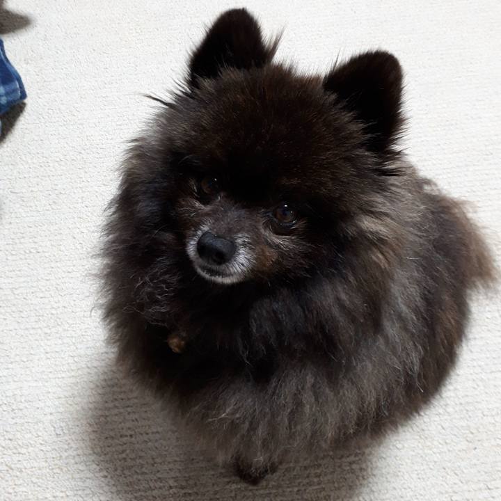 66fcbc71 253d 46dd 9741 b4585e520cd0 1520534376069