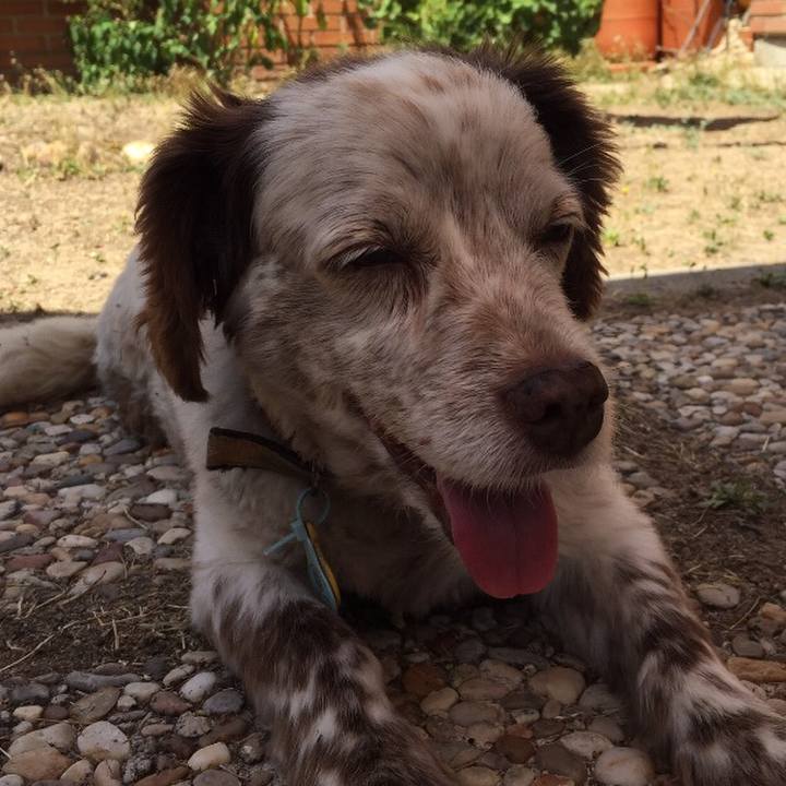 66fce4d4 87e1 4b32 a4ea 86fb78236ca3 1512002095223