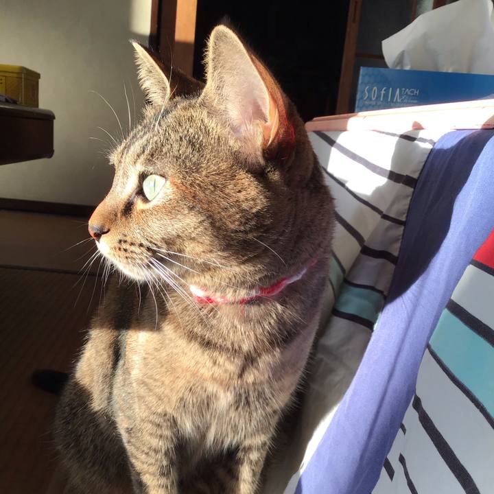 66fcf046 3599 451f 89e8 a684043febe8 1604561846700