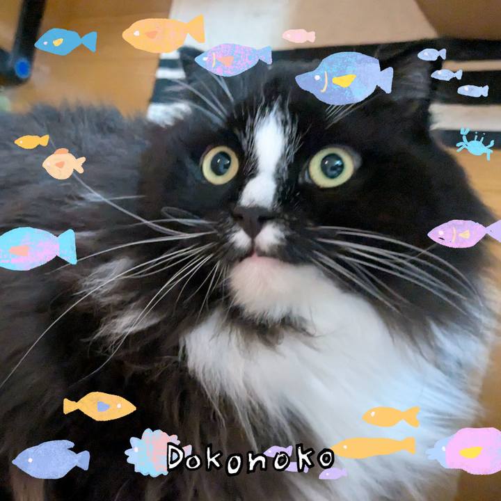 66fcf2bd f6d4 4c3c ab49 ed7749697dc8 1755296704289