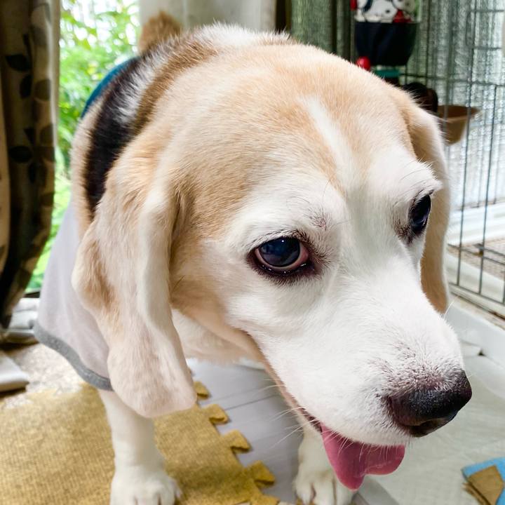 66fcf5e9 7a34 4ee5 9639 a9625ff31040 1655350520527