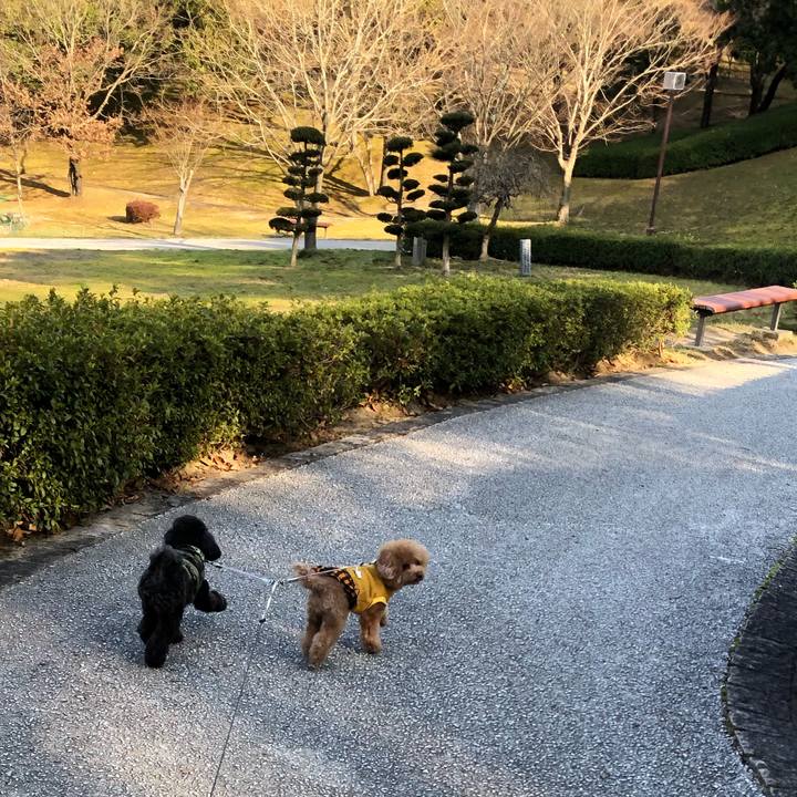 66fd02e5 558e 4a77 a879 e0503b5ebb1a 1581387501782