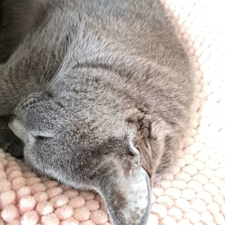 66fd583b 0719 4e73 81c1 7e83eb03f429 1599969890685