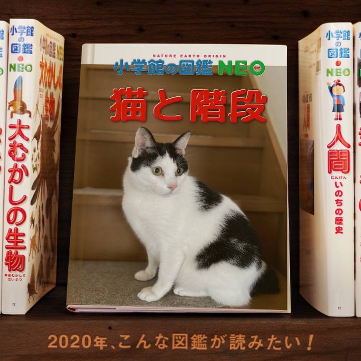 66fd662a b076 49cb 952c 3fa0c1c8c588 1578228435320