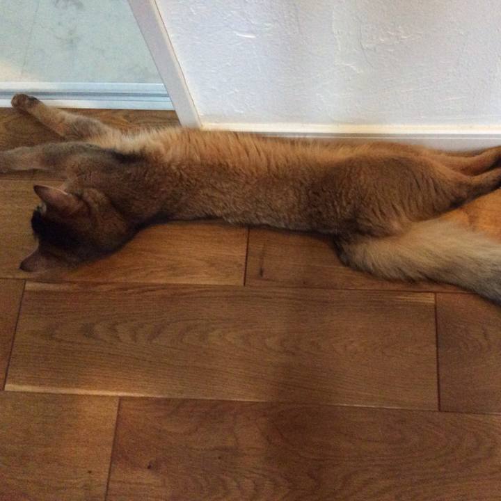 66fd66ee 4c73 44ca 9d32 a0c9a13bd7bd 1565156837122