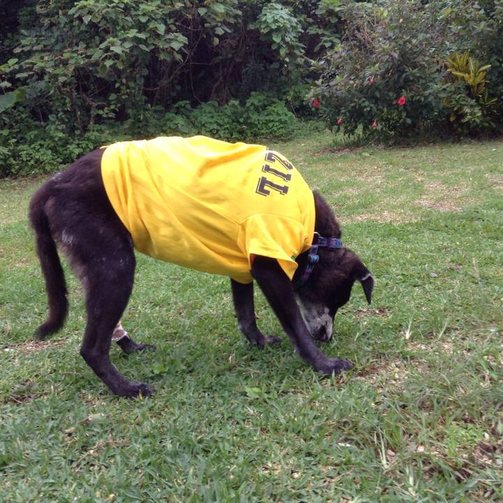 66fd8f02 00a4 4b46 b3cc 6bd7fdfadd44 1511091040314