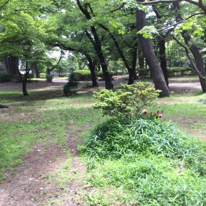 66fdaaa3 ee49 474f ac0f b2b936b24762 1591939047639