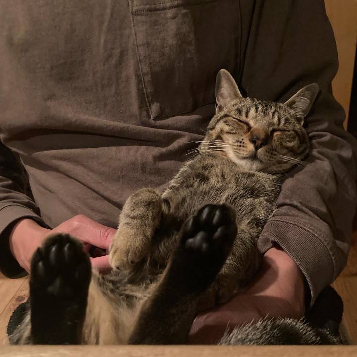 66fe0e58 80c8 4da3 b1b6 64c415f98f12 1680995896430