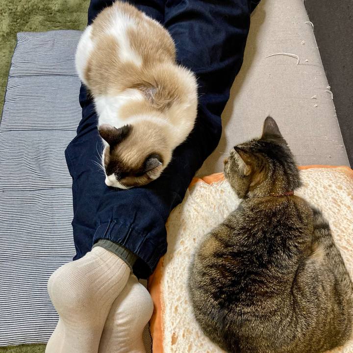 66fe31cc 9574 4fe7 bdf3 410db708212c 1645699113093