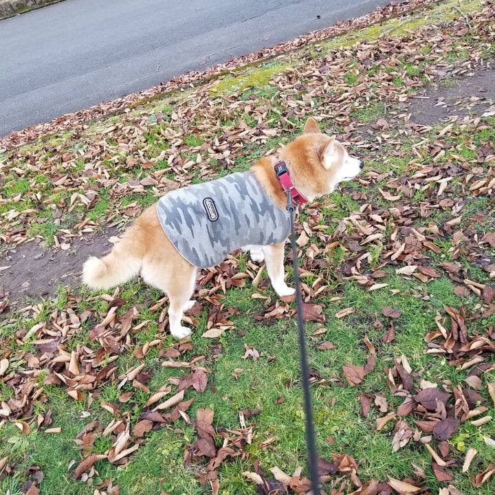 66fe5367 1a8a 45c0 b7e0 eb256876e2b5 1733376384824