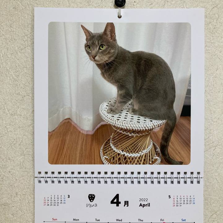 66fe858d 057f 4086 b5d7 4804faa59f2e 1648809920709