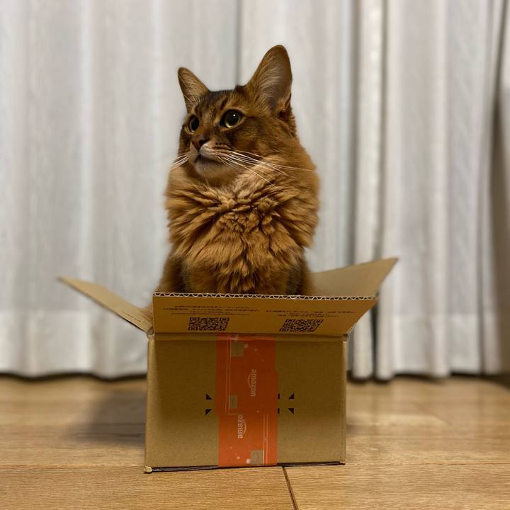 66fe861d a9fd 4a60 9a37 70c5f967553f 1702366407967