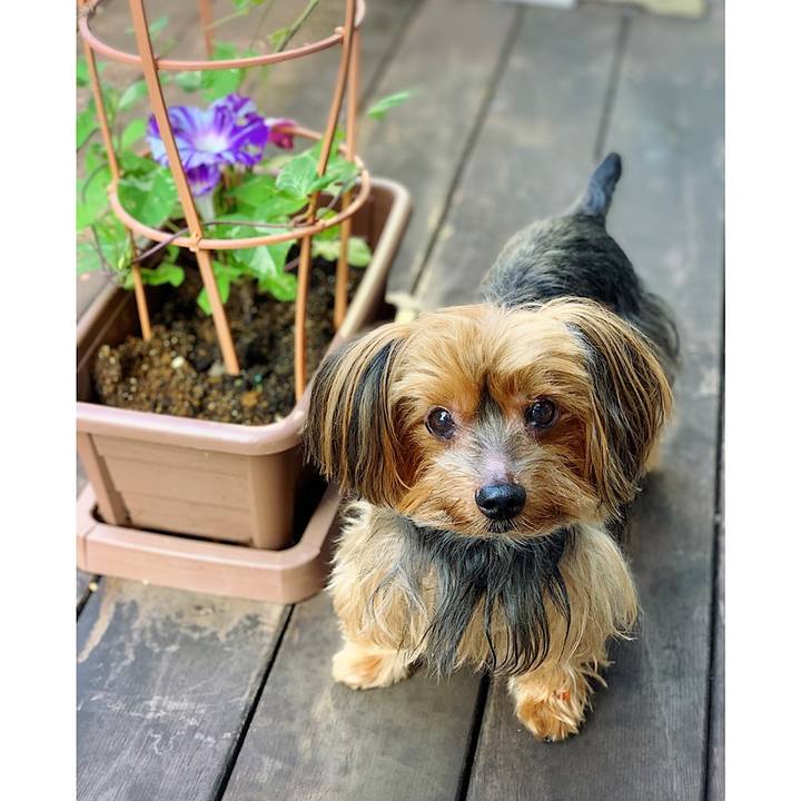 66fed40c 5e74 4eff 8750 6d240f258197 1564354503095