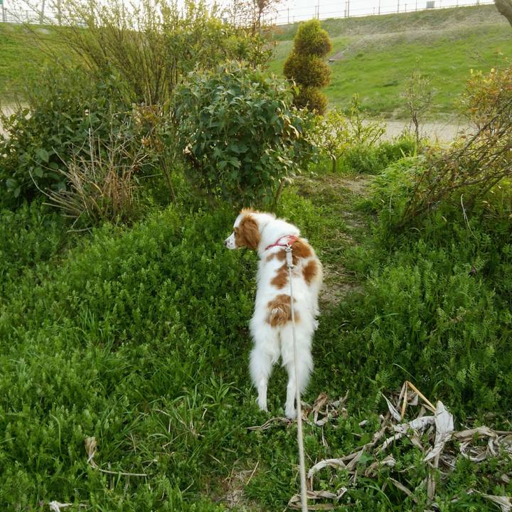 66fef461 3db4 487f 9edd 719fcd2047e1 1553857126668