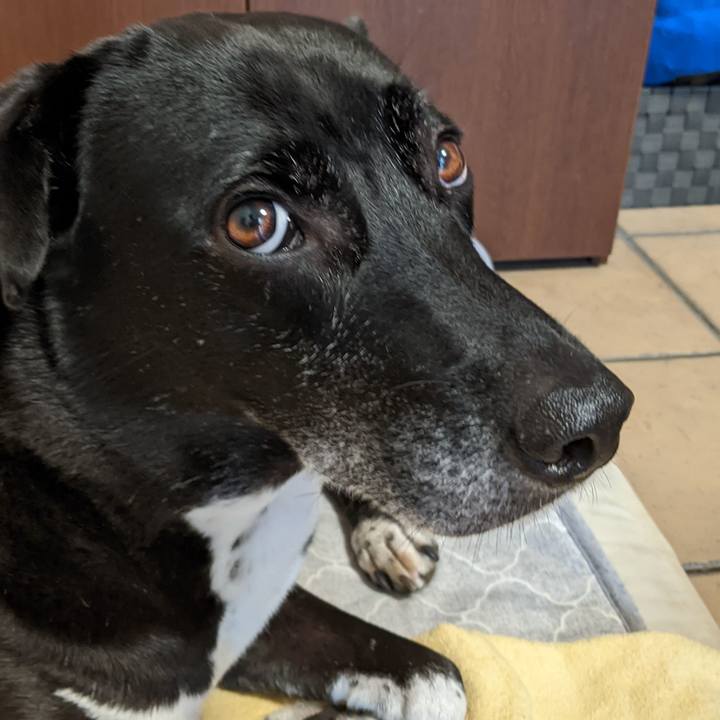 66fefe9b 502f 48f8 9b47 eb3a45961cfb 1696287217482