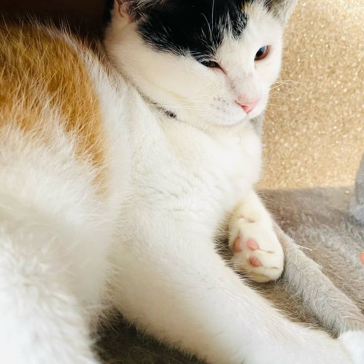 66ff587b b1db 4a52 9199 651bd29fb6ac 1689890555742